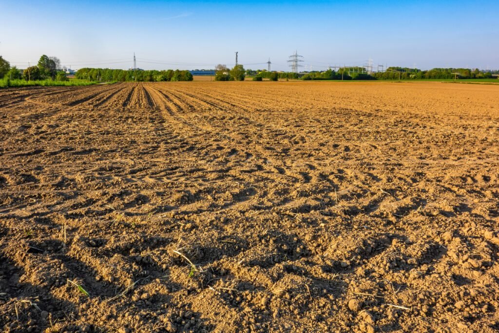 Agricultural Land